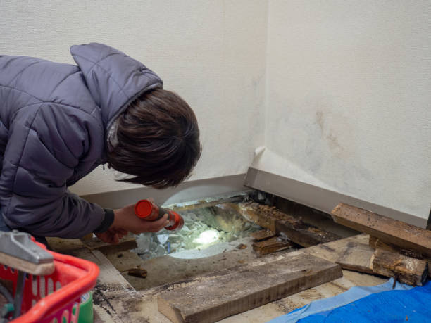  Harrison, OH Mold Removal Pros