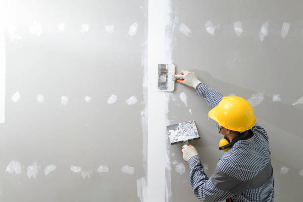 Best Commercial Mold Inspection  in Harrison, OH