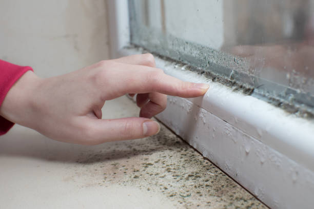 Best Comprehensive Air Testing for Mold Contaminants  in Harrison, OH