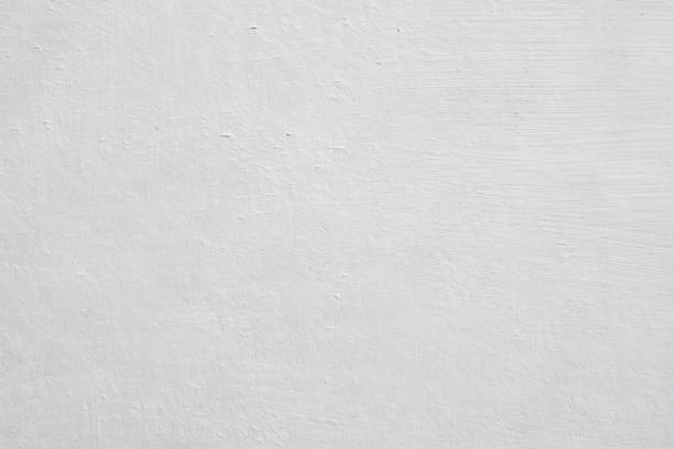 Environmental Consulting for Mold Prevention in Harrison, OH
