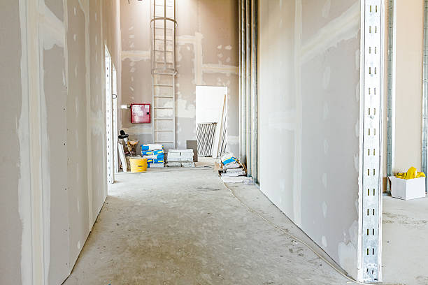 Best Water Damage & Mold Remediation  in Harrison, OH